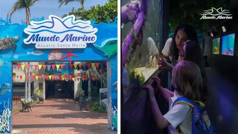 Acuario Mundo Marino en El Rodadero: entrada principal y niños observando peces